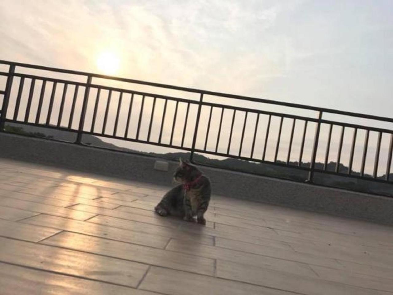 Sunny Sky Homestay Yujing Εξωτερικό φωτογραφία